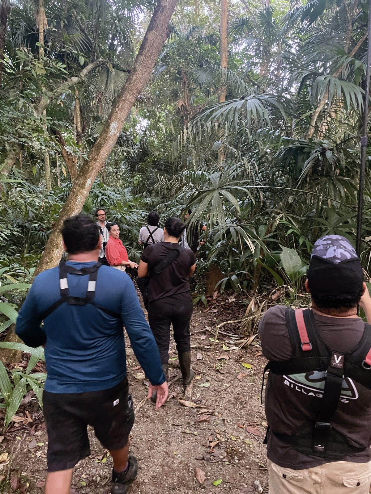 Filming in the Panamanian rainforest